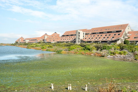 Dolphin Beach E30, Cape Town, South Africa
