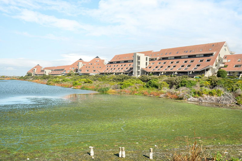 Dolphin Beach E30, Cape Town, South Africa