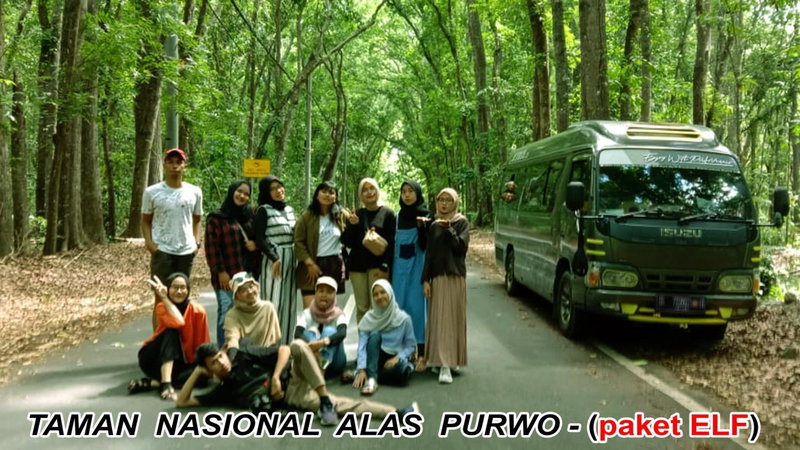 Kanalan Homestay Banyuwangi, Banyuwangi, Indonesia
