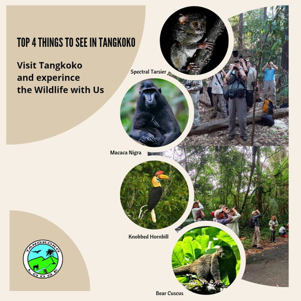 Tangkoko Lodge, Bitung, Indonesia