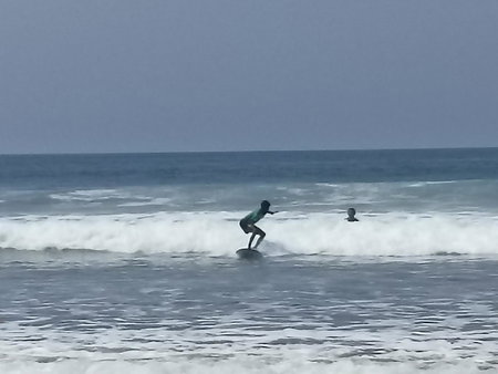 Ayolah Surf camp surf stay, Jembrana, Indonesia