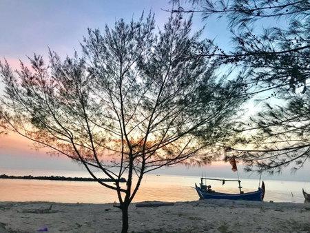 Seabirds Bed and Breakfast, Jepara, Indonesia