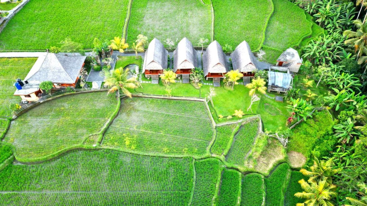Pondok Gandalangu Ubud-Dikelilingi Hamparan Sawah, Indonesia