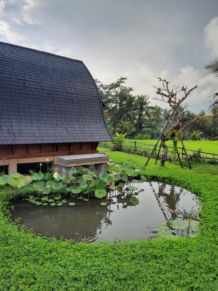 Pondok Gandalangu Ubud-Dikelilingi Hamparan Sawah, Ubud, Indonesia
