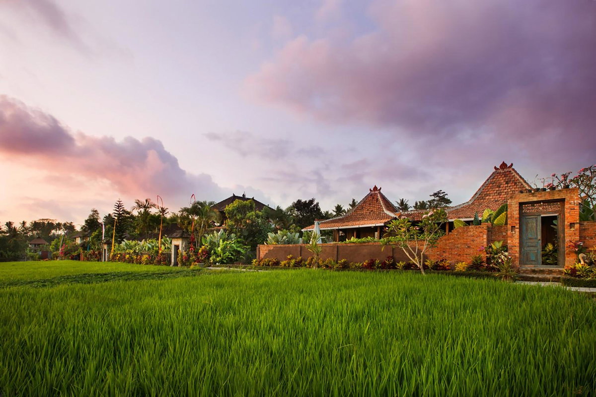 Hotel · Naya Ubud, Ubud