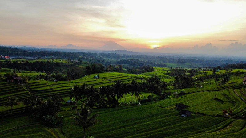 Bhuana Agung Villa and Restaurant, Jatiluwih, Indonesia