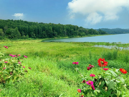 BUYAN LODGE lake view villa, Bedugul, Indonesia