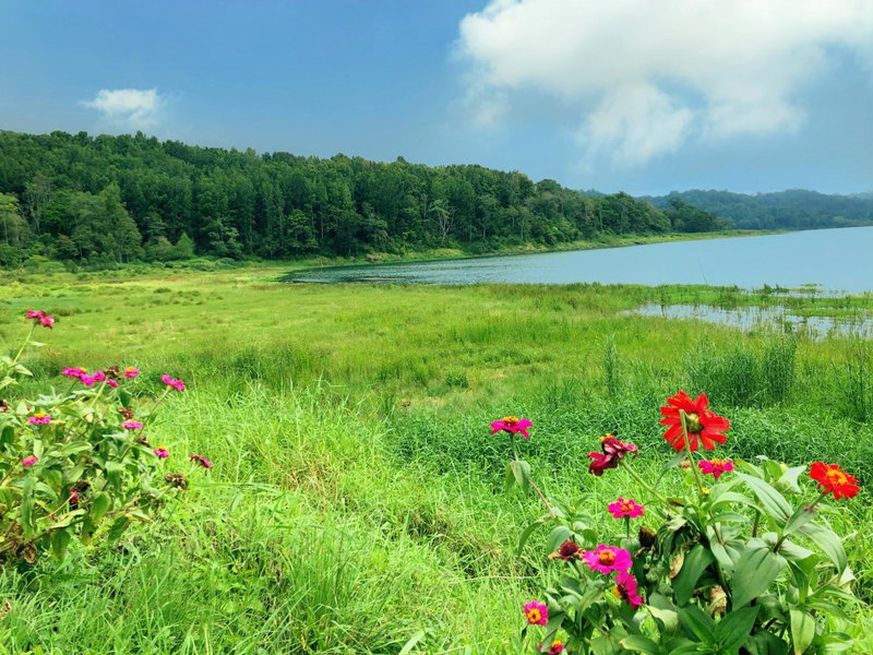 BUYAN LODGE lake view villa, Bedugul, Indonesia
