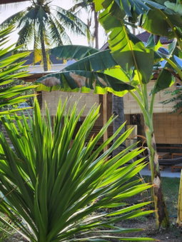 Kayu Cottage, Gili Trawangan, Indonesia