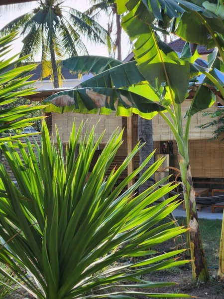 Kayu Cottage, Gili Trawangan, Indonesia