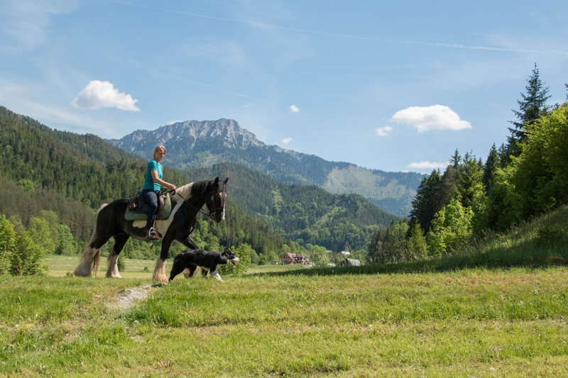 Reiterbauernhof Maho, Sankt Aegyd am Neuwalde, Austria
