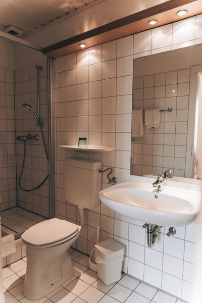 Hotel Wirtshaus Römerhof, Leibnitz, Austria