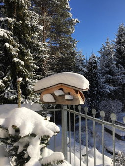 Apart-Elisabeth, Mieming, Austria