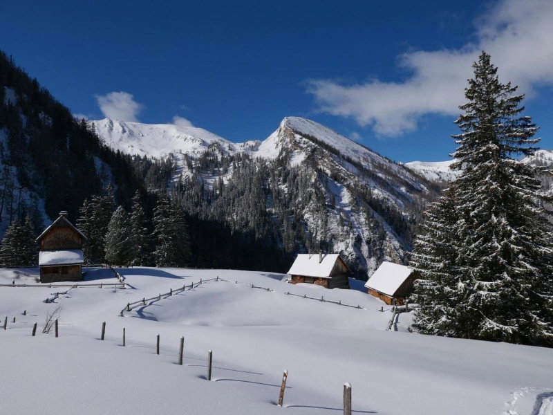 Ferienwohnung Dallinger, Radmer an der Stube, Austria