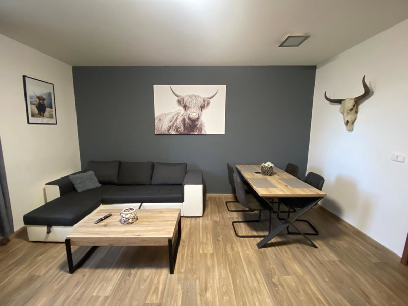 Černý Tulipán - Apartmán 3, Plzeň, Czechia