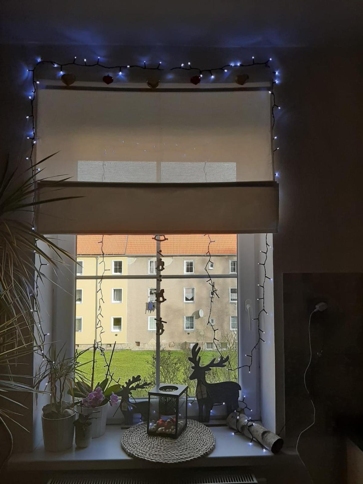 Apartment Riegerovka, Czechia