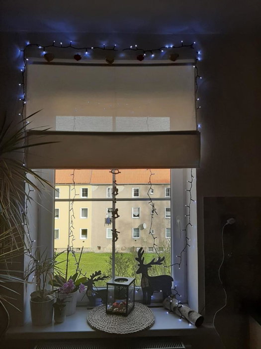 Apartment Riegerovka, Cheb, Czechia