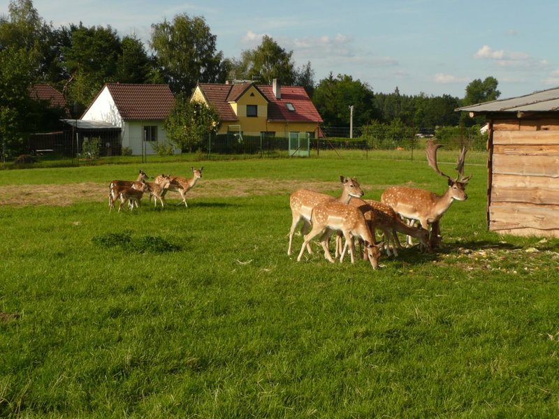 Apartmán Lhota, Stráž nad Nežárkou, Czechia