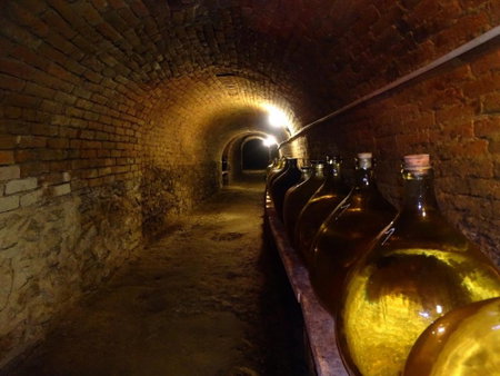 Penzion u Šimečků, Šatov, Czechia