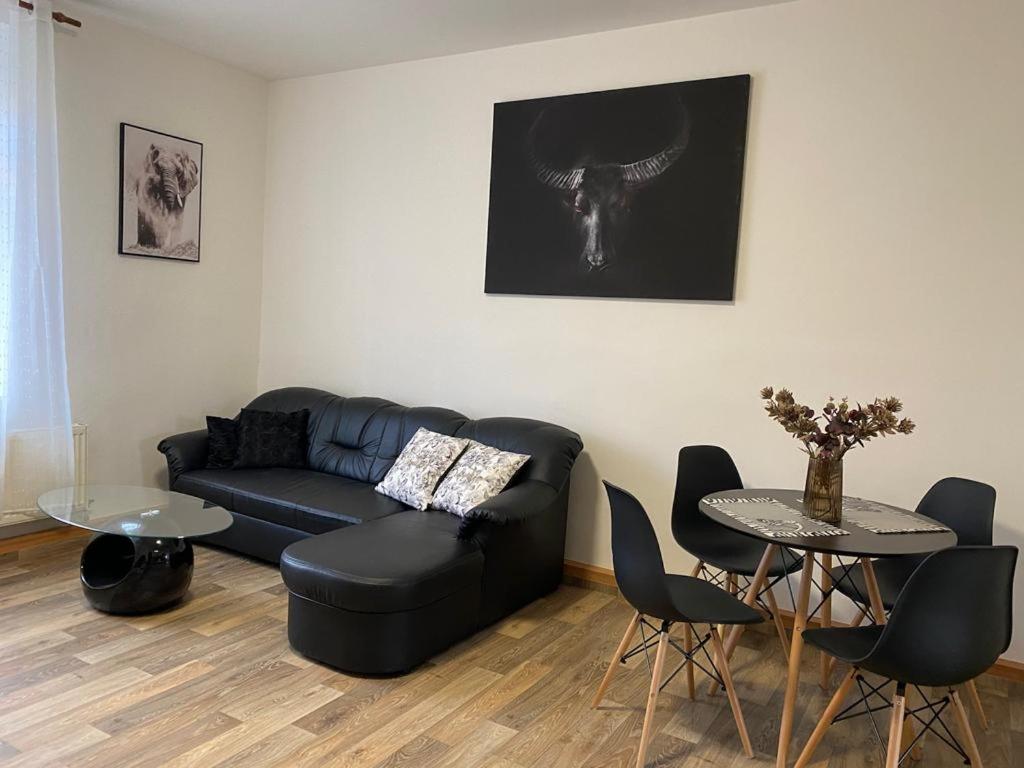 Černý Tulipán - Apartmán 2, Czechia