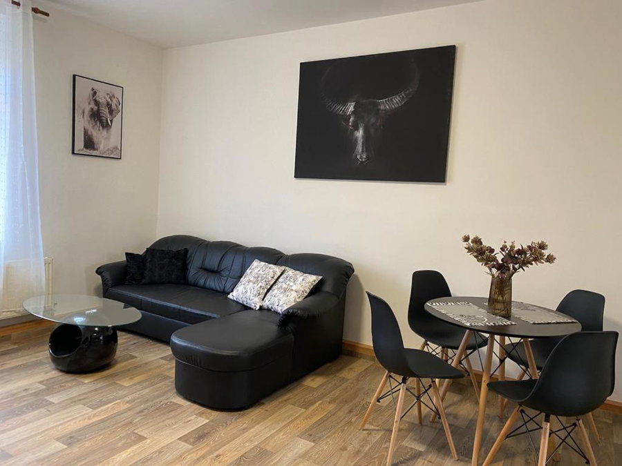Černý Tulipán - Apartmán 2, Plzeň, Czechia