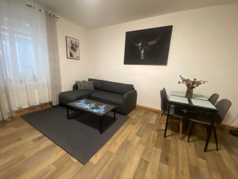 Černý Tulipán - Apartmán 2, Plzeň, Czechia
