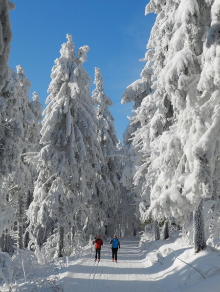 Kramářova chata, Orličky, Czechia