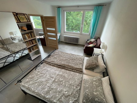 NOVÝ HORSKÝ APARTMÁN v Jizerských horách, Hejnice, Czechia