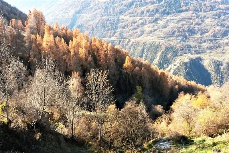 La Chaumière d'Hérens, Vernamiège, Switzerland