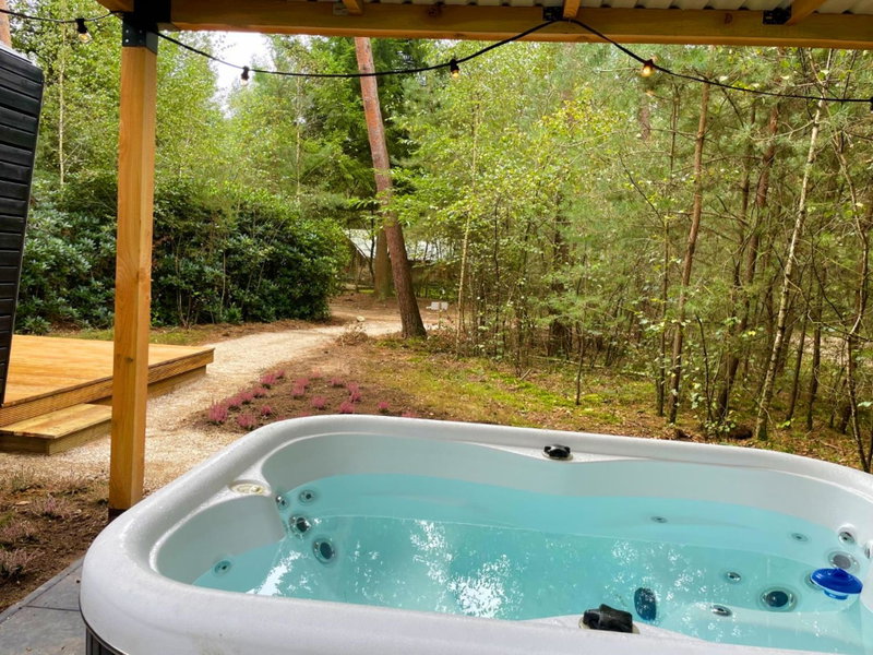 Diamond Suite in the woods, Holten, The Netherlands