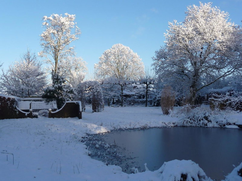 Selatuinen, Appelscha, The Netherlands
