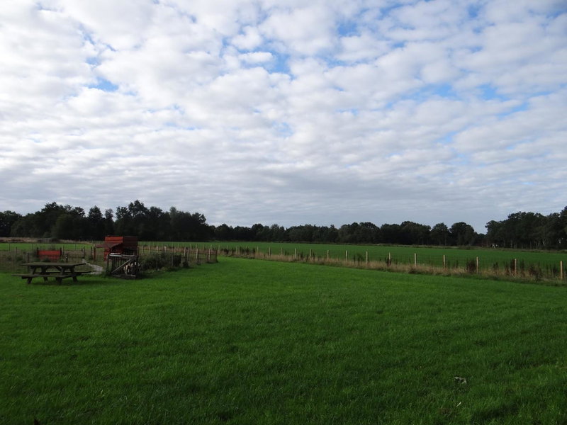 The Green Cottage, Ruinen, The Netherlands