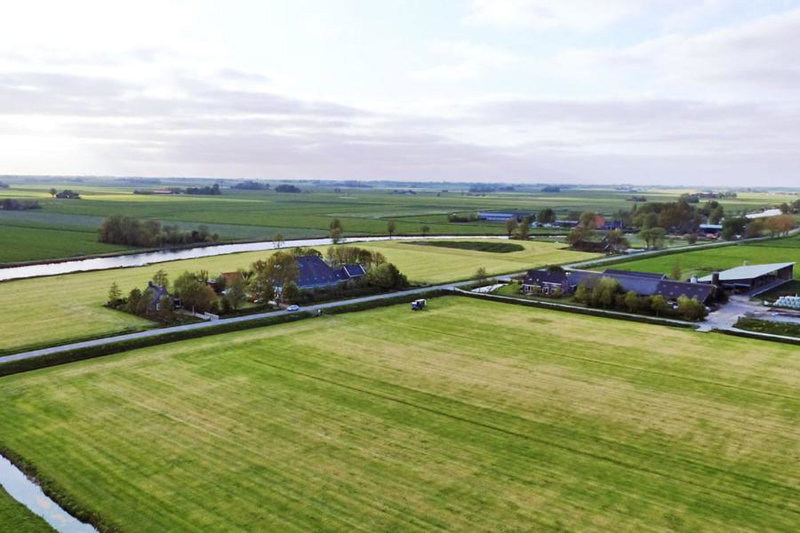 Gast op stal nabij Leeuwarden, Wyns, The Netherlands