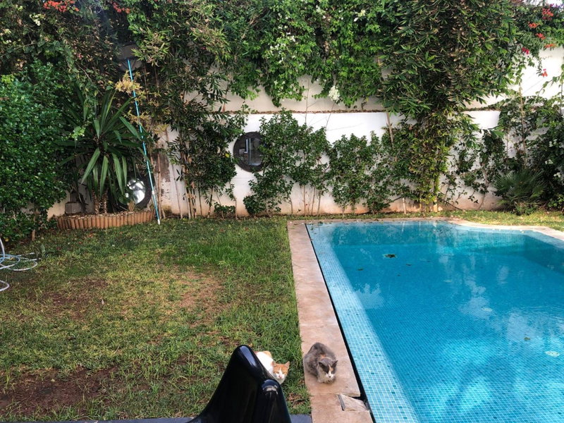 Villa moderne avec piscine, front de mer, Casablanca, Morocco