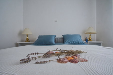 Apartment Ranch, Opatija, Croatia