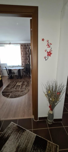 Casa Suzana, Piatra Neamţ, Romania