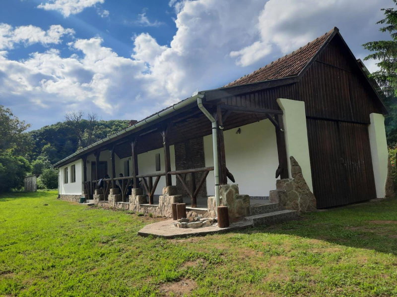 Casa de Peste Apă, Peşteana, Romania