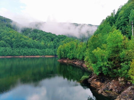 Pensiunea IULIA, Rod, Romania