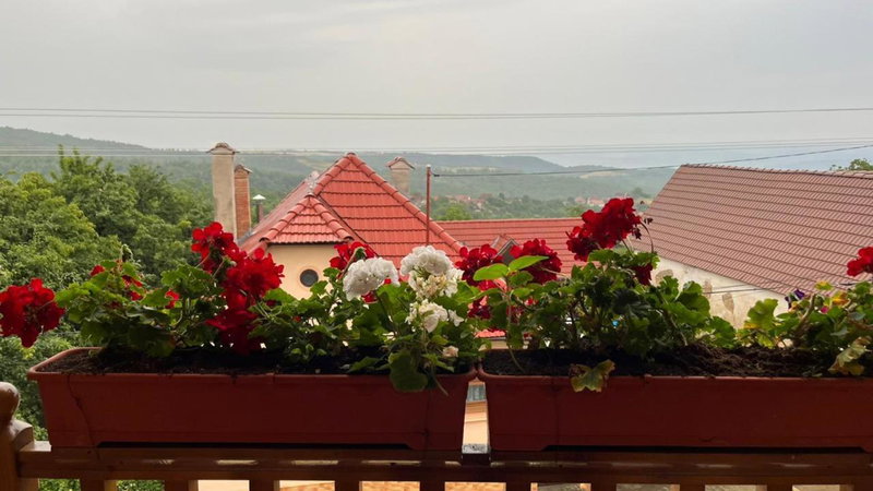 Pensiunea IULIA, Rod, Romania