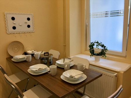 Entire luxury apartment in the city center, Budapest, Hungary