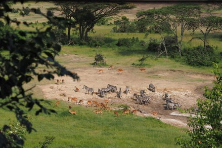 Saruni Eagle View, Maasai Mara, Kenya
