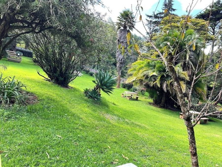 Thayu Farm Hotel, Limuru, Kenya