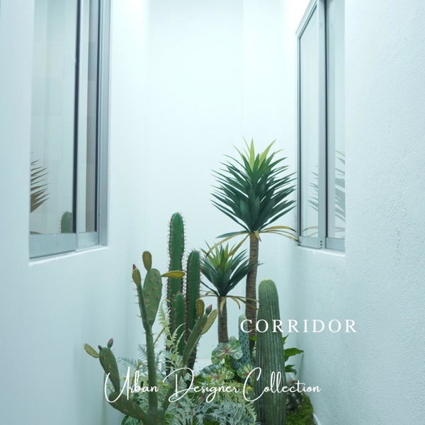 Urban Designer Collection, George Town, Malaysia