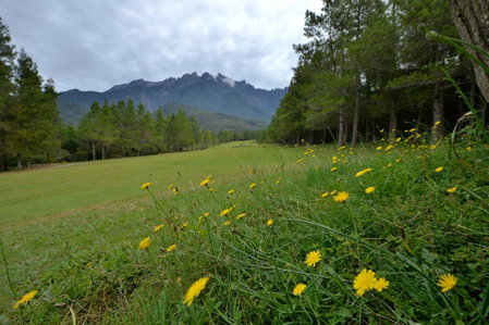 H Benjamin Residence, Kundasang, Malaysia