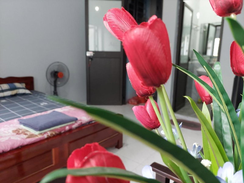 alley homestay, Hanoi, Vietnam