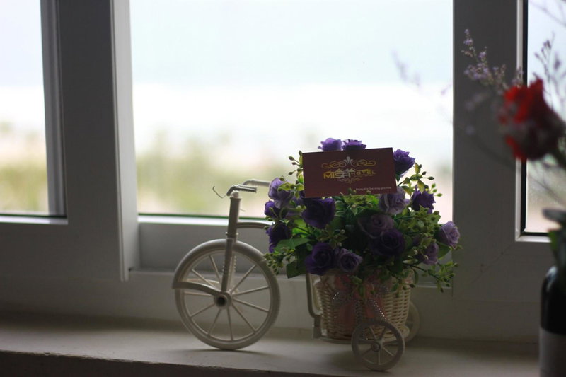 Misa Hotel Da Nang, Da Nang, Vietnam