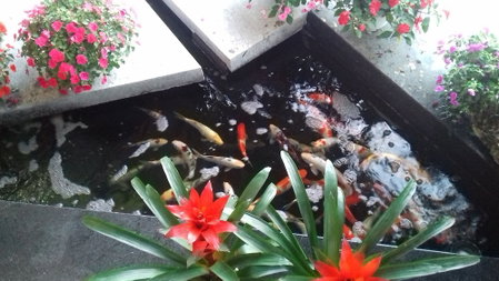 Hiep Yen Hotel, Tuy Hoa, Vietnam