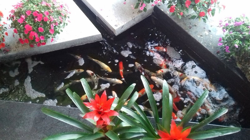Hiep Yen Hotel, Tuy Hoa, Vietnam
