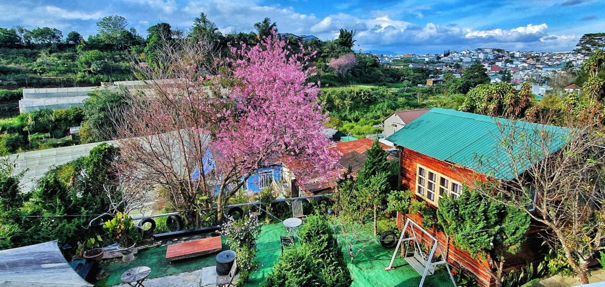 Hotel · Đèn lồng homestay & coffee, Da Lat