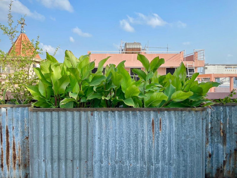 5-homestay I, Vung Tau, Vietnam